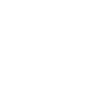 Driving Icon