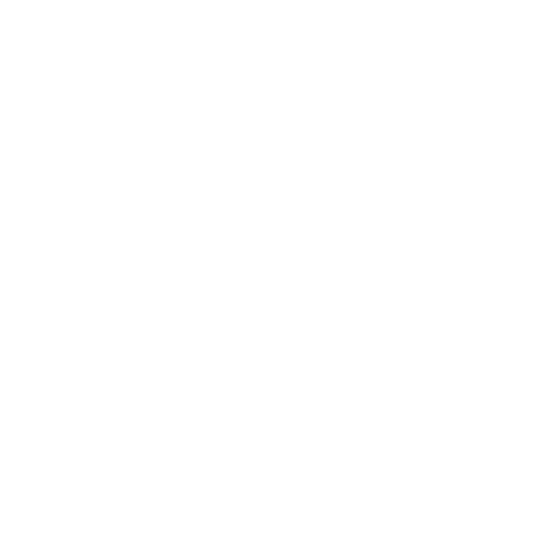 Driving Icon