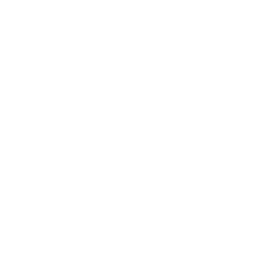 Transport Icon