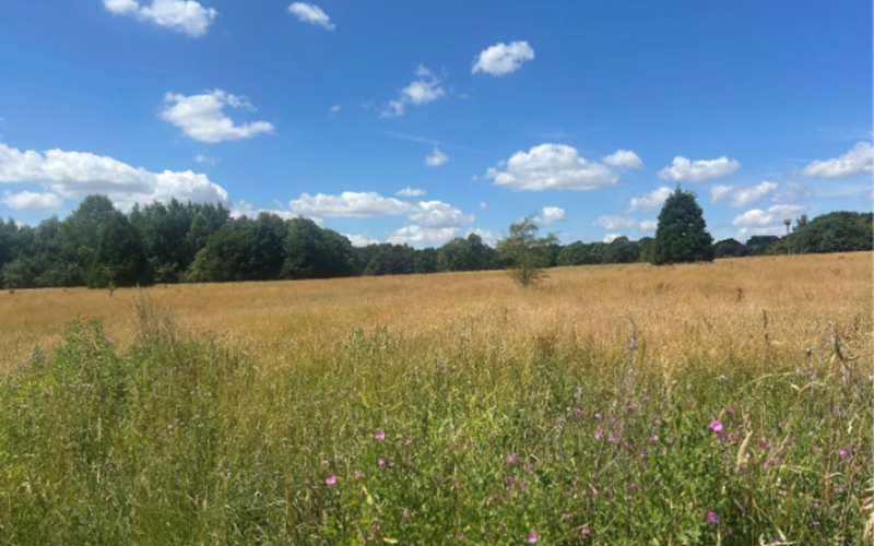 Market Bosworth Park, Leicestershire, for the Dino T-Reks trails by Choose How You Move.