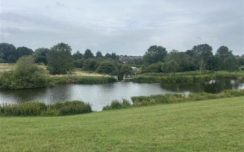 Melton Country Park, Leicestershire, for the Dino T-Reks trails by Choose How You Move.