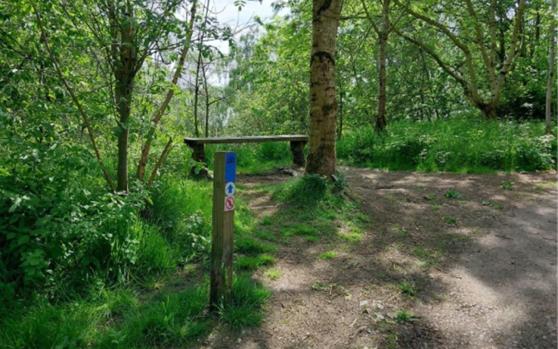 Snibston Colliery Park, Leicestershire, for the Dino T-Reks trails by Choose How You Move.