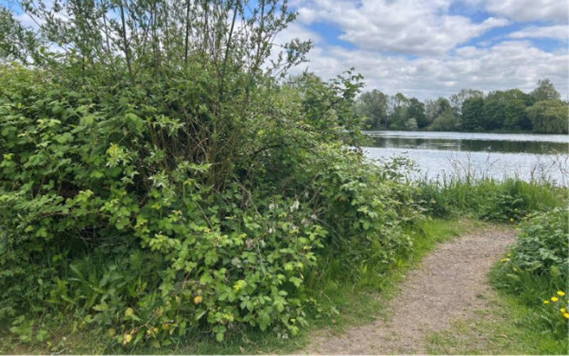 Watermead Park, Leicestershire, for the Dino T-Reks trails by Choose How You Move.