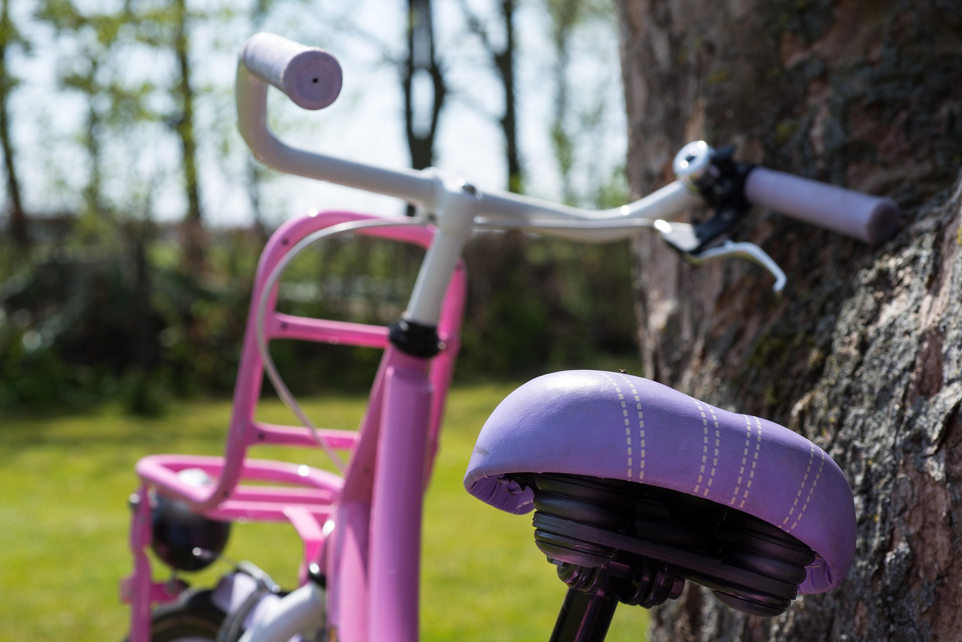 pink and purple children's bike leaning against a tree as an example for correct bikes for Leicestershire Bike Bank