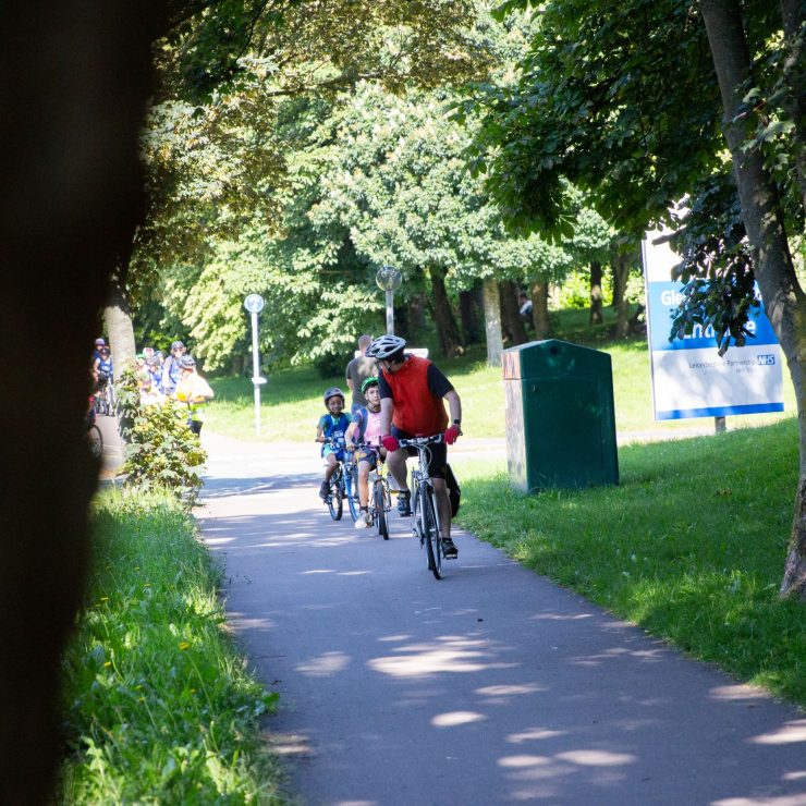 Children on bikes being led by an adult riding a bicycle down a park path