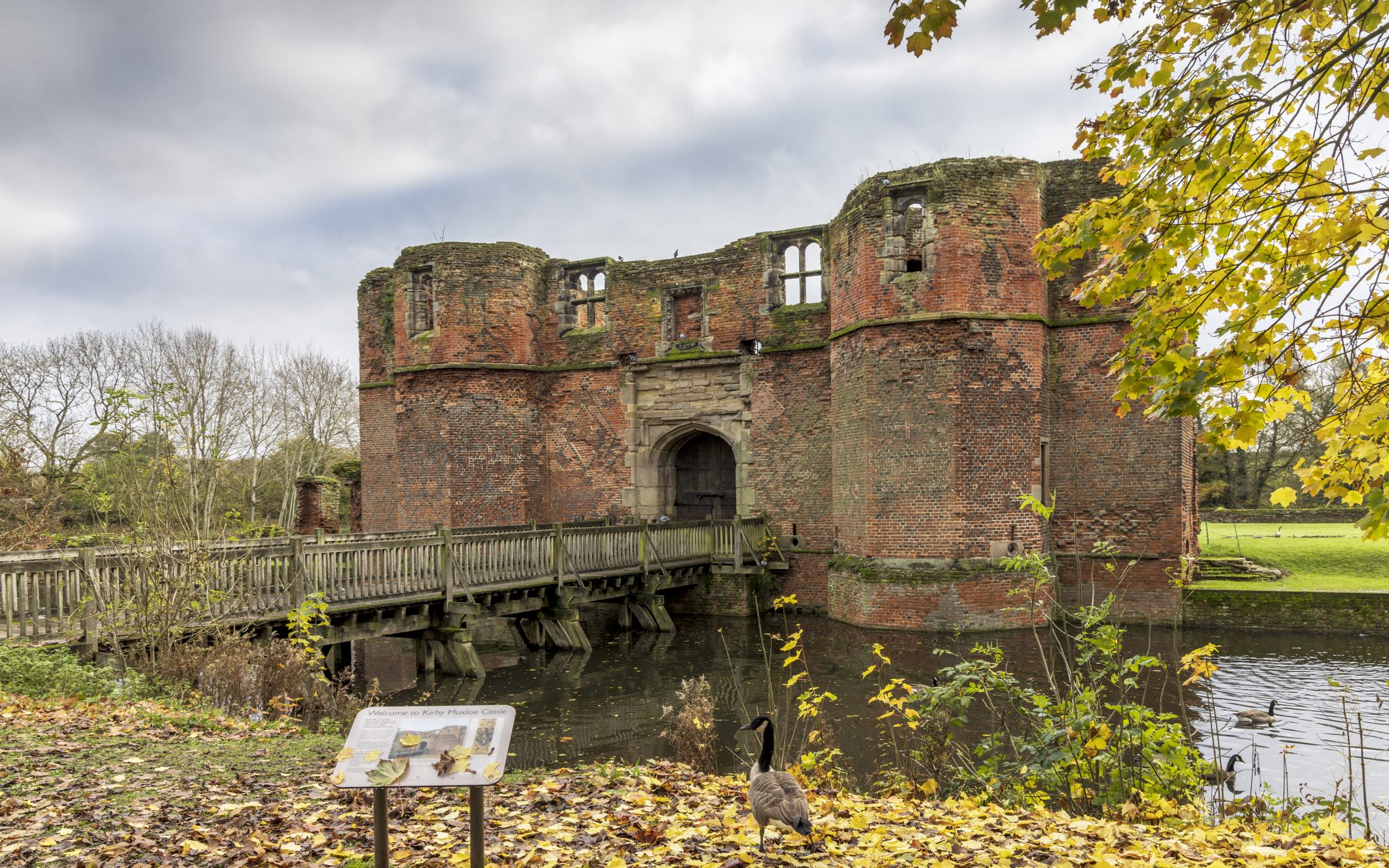 A bridge on a moat leading up to Kirby Muxloe Castle, a ruined red-brick castle. On the bank, a goose walks amongst yellow leaves. For Blaby district.