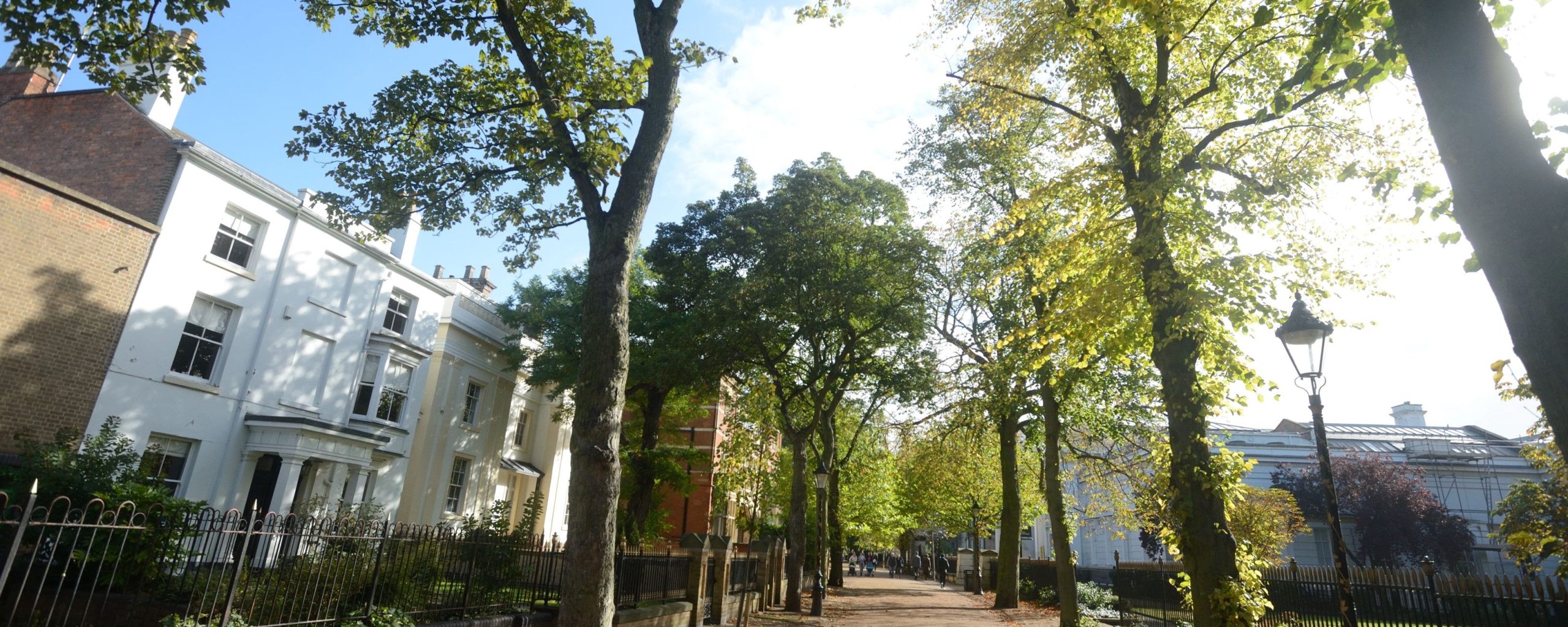 A tree-lined path in New Walk, Leicester city centre.