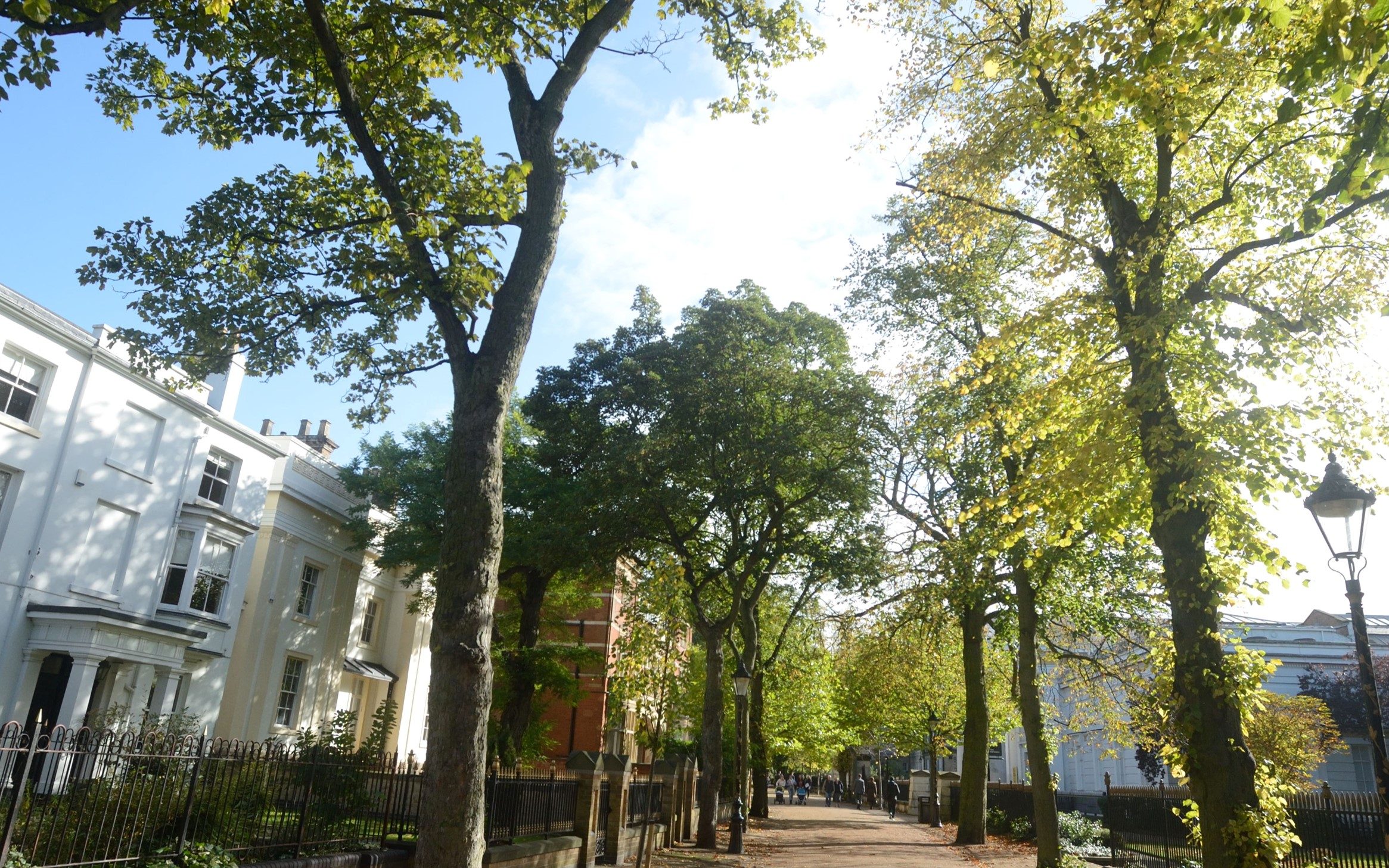 A tree-lined path in New Walk, Leicester city centre.