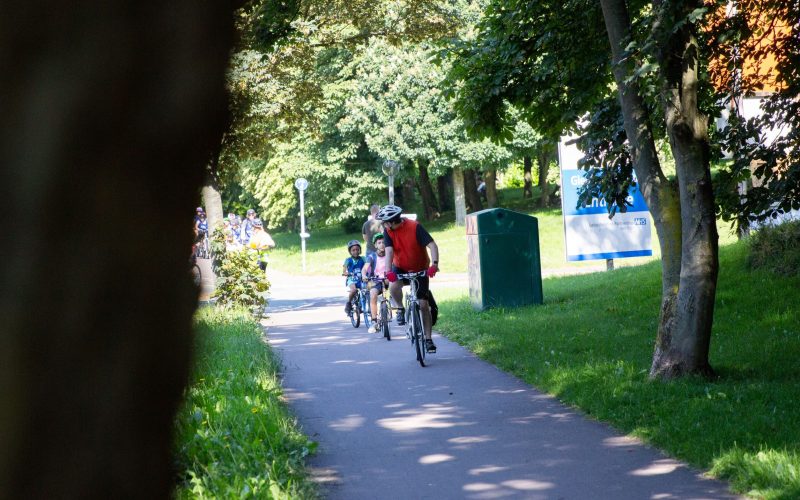 Children on bikes being led by an adult riding a bicycle down a park path